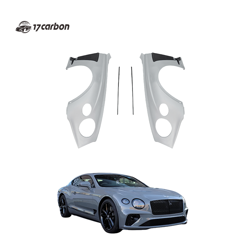 2019-2023 Bentley Continental GT/GTC MSY Style Carbon Fiber Fender