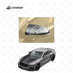 2025 Bentley Continental GT/GTC Carbon Fiber Front Lip Rear-View Mirror Hood