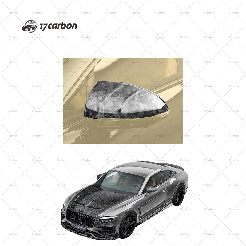 2025 Bentley Continental GT/GTC Carbon Fiber Front Lip Rear-View Mirror Hood
