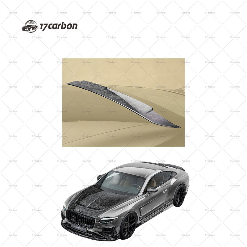 2025 Bentley Continental GT/GTC Carbon Fiber Arch-Limb